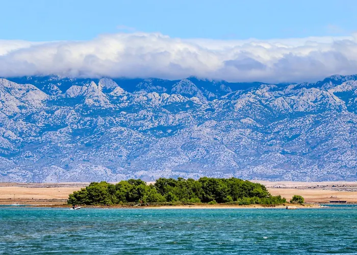 Bloom アパート *