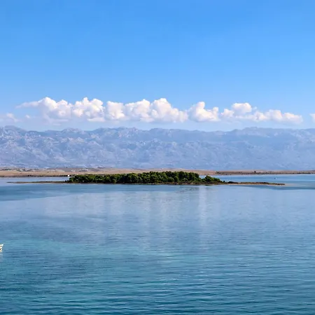 דירה Bloom ויר