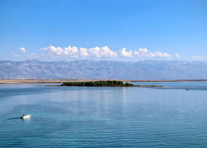 Appartement Bloom Vir